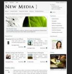 30-new_media